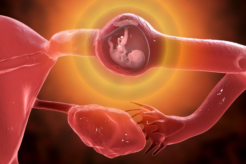 Bebektivite | Kimyasal ve Dış Gebelik